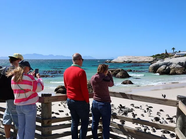 Tourists watching African penguins from a wooden boardwalk at Boulders Beach.