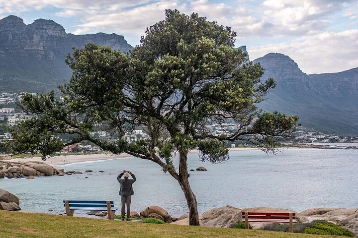 A person stands under a large tree on a grassy shore taking a photo.